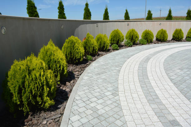 Best Custom Driveway Pavers  in Yuc Valley, CA
